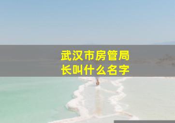 武汉市房管局长叫什么名字