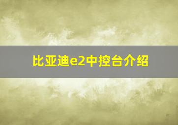 比亚迪e2中控台介绍