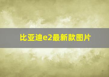 比亚迪e2最新款图片