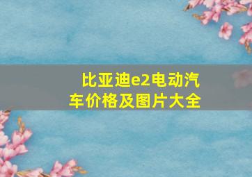 比亚迪e2电动汽车价格及图片大全