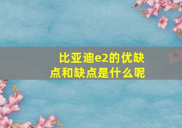 比亚迪e2的优缺点和缺点是什么呢