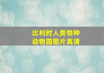 比利时人类物种动物园图片高清