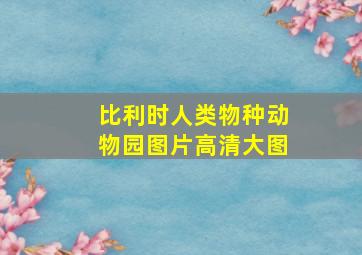 比利时人类物种动物园图片高清大图