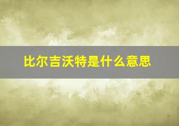 比尔吉沃特是什么意思