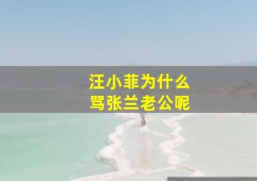 汪小菲为什么骂张兰老公呢