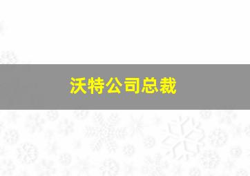 沃特公司总裁