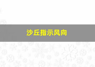 沙丘指示风向