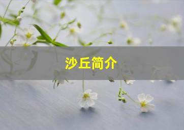 沙丘简介