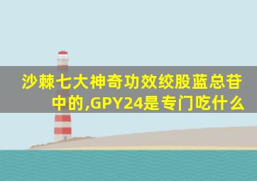 沙棘七大神奇功效绞股蓝总苷中的,GPY24是专门吃什么