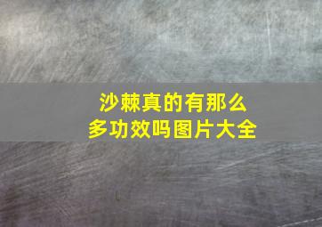 沙棘真的有那么多功效吗图片大全