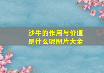 沙牛的作用与价值是什么呢图片大全