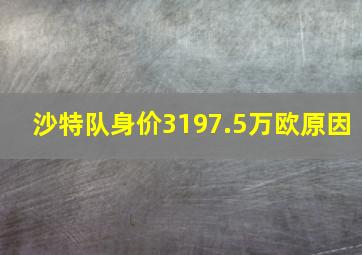 沙特队身价3197.5万欧原因