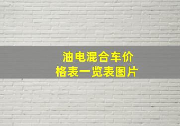 油电混合车价格表一览表图片