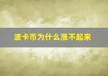 波卡币为什么涨不起来