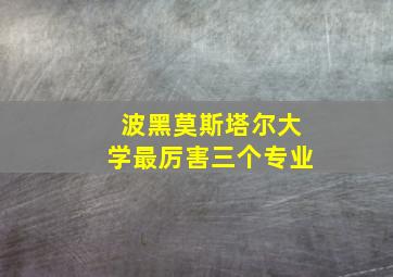 波黑莫斯塔尔大学最厉害三个专业