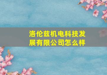 洛伦兹机电科技发展有限公司怎么样