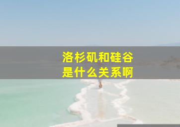 洛杉矶和硅谷是什么关系啊