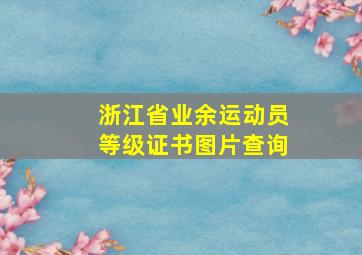 浙江省业余运动员等级证书图片查询