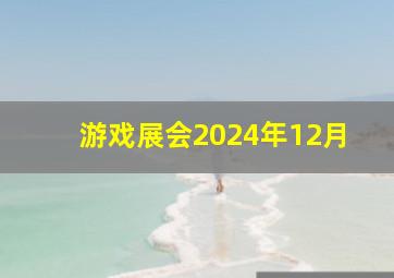 游戏展会2024年12月