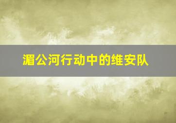 湄公河行动中的维安队