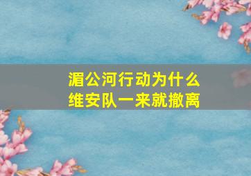 湄公河行动为什么维安队一来就撤离