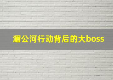 湄公河行动背后的大boss