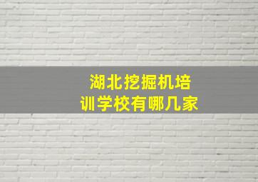 湖北挖掘机培训学校有哪几家