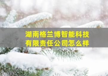 湖南格兰博智能科技有限责任公司怎么样