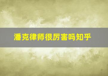 潘克律师很厉害吗知乎