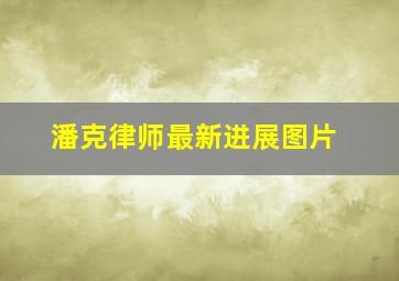 潘克律师最新进展图片