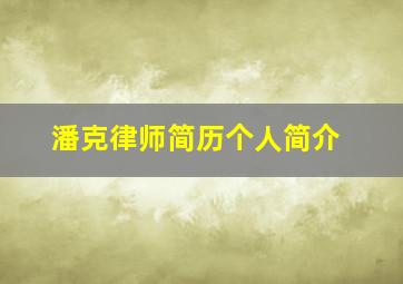 潘克律师简历个人简介