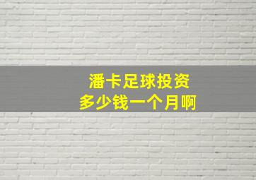 潘卡足球投资多少钱一个月啊