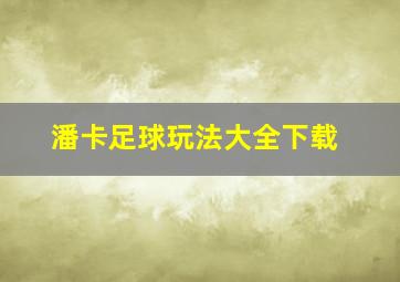 潘卡足球玩法大全下载