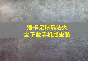 潘卡足球玩法大全下载手机版安装