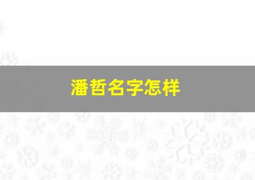 潘哲名字怎样