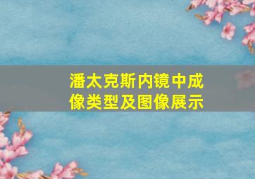 潘太克斯内镜中成像类型及图像展示