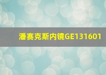 潘赛克斯内镜GE131601