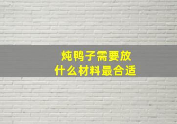 炖鸭子需要放什么材料最合适