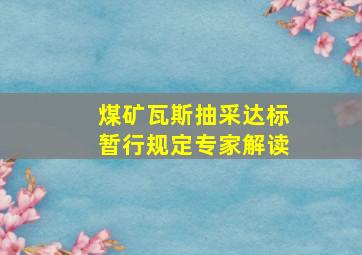 煤矿瓦斯抽采达标暂行规定专家解读