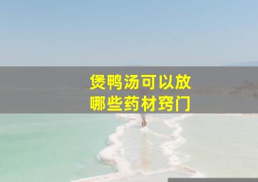 煲鸭汤可以放哪些药材窍门