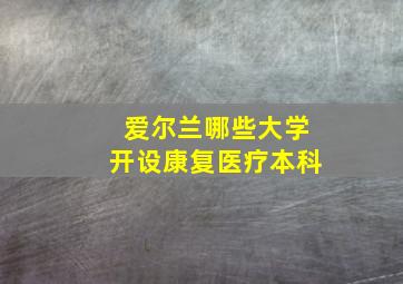 爱尔兰哪些大学开设康复医疗本科