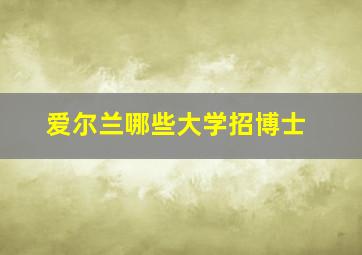 爱尔兰哪些大学招博士