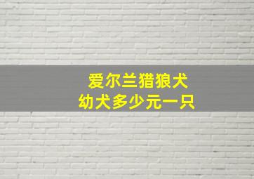 爱尔兰猎狼犬幼犬多少元一只