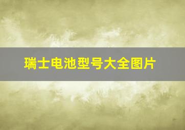 瑞士电池型号大全图片