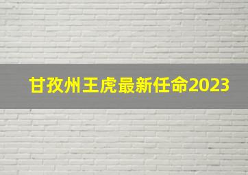 甘孜州王虎最新任命2023