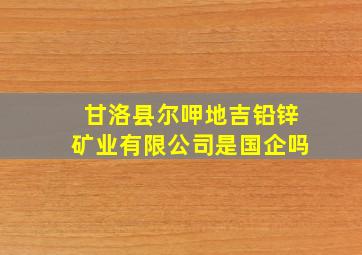 甘洛县尔呷地吉铅锌矿业有限公司是国企吗