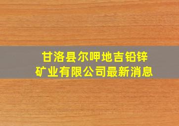 甘洛县尔呷地吉铅锌矿业有限公司最新消息