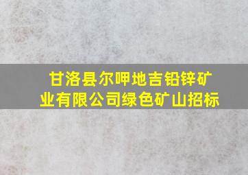 甘洛县尔呷地吉铅锌矿业有限公司绿色矿山招标