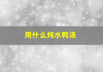 用什么炖水鸭汤