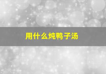 用什么炖鸭子汤